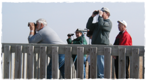 People on a dock looking off into the distance through binoculars. 