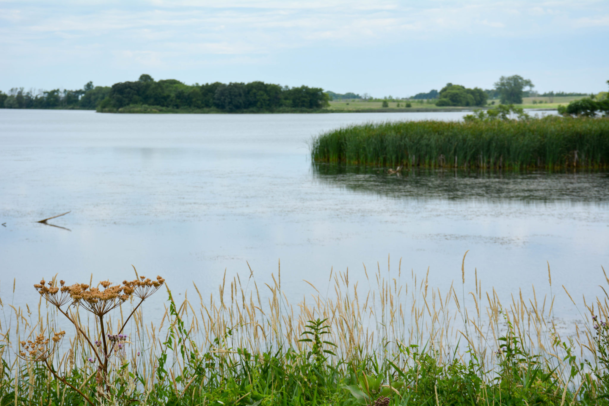 Swift County - Western Minnesota Prairie Waters